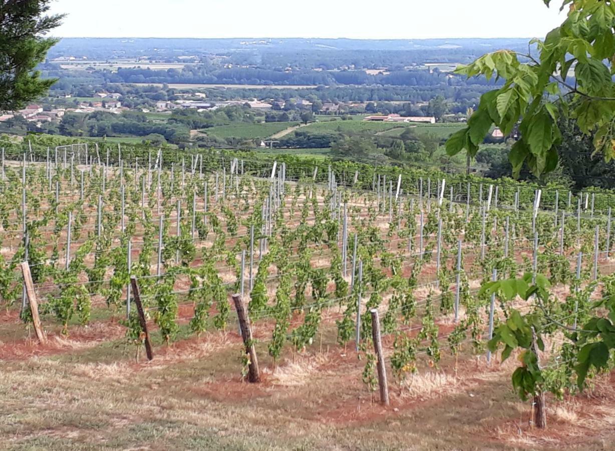 Domaine De La Belle Lurette Villa Saint-Pierre-d'Aurillac Ngoại thất bức ảnh